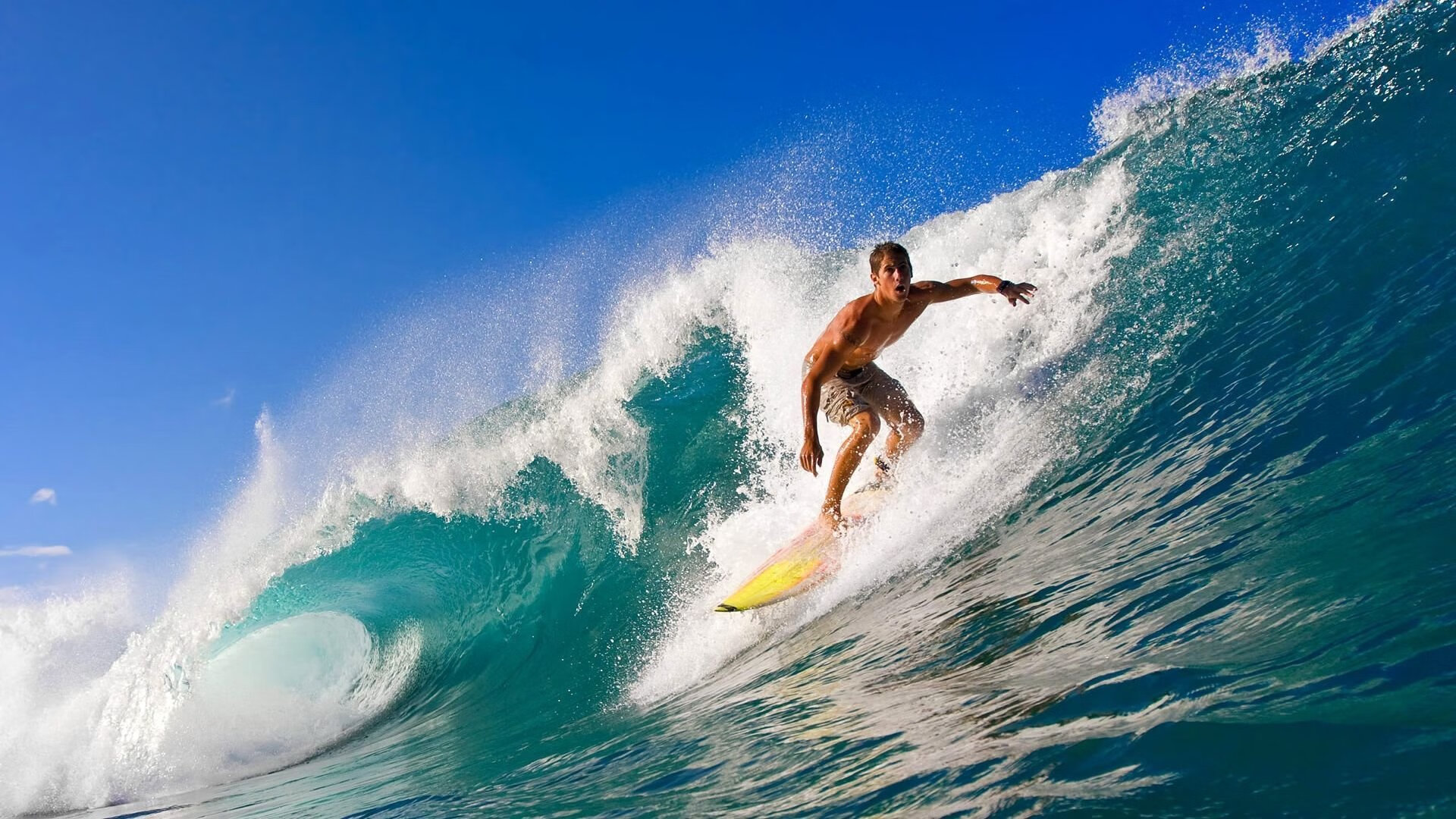 爱游戏-深度解析射击预赛排名分布特点，射击赛程表