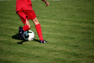 爱游戏体育(AYX)官方APP下载-中国青少年篮球运动员伤病防控体系建设,青少年篮球训练现状分析